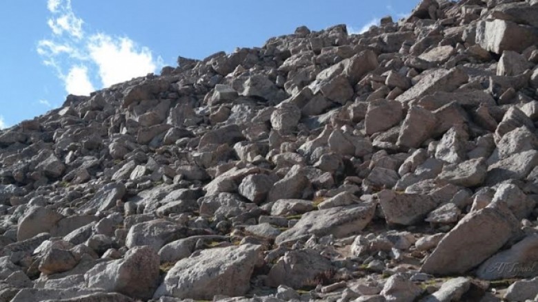 Gjejeni dhinë në këtë fotografi (Foto)