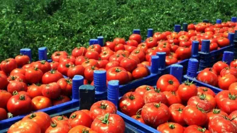 Rritet varësia nga importet në Shqipëri, 63 për qind më shumë importi i frutave dhe perimeve