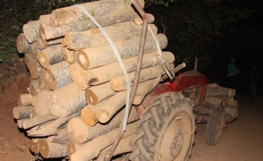 Aksione të policisë në Pollog për ndalimin e prerjes jo ligjore, transportit dhe tregtisë me drunj