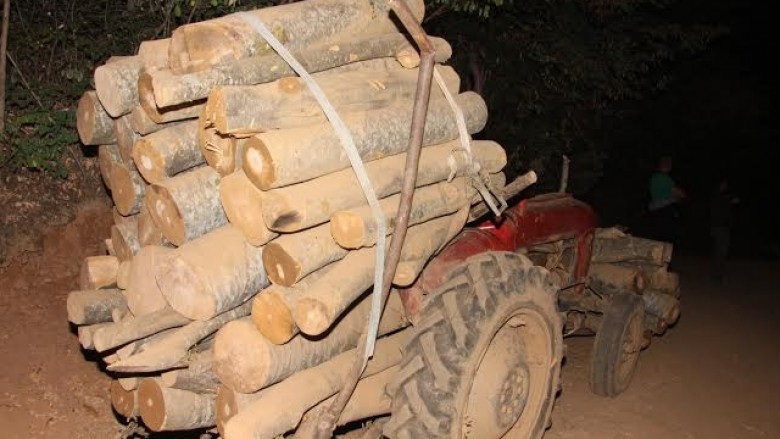 Vjedh dru në pyll, kërcënon dhe sulmon zyrtarët policor në Gjakovë