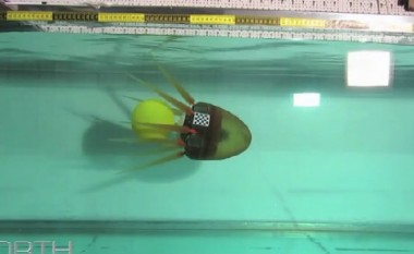 Krijohet oktopodi robot që mund të bartë gjëra (Video)