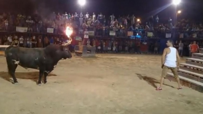 “Fluturoi” me një të goditur: Ja çfarë ndodh kur provokohet demi (Video)