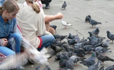 Ligje të pazakonta që duhet t’i keni parasysh në udhëtimet tuaja