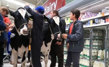 Me lopë në supermarket, për të kundërshtuar çmimin e qumështit (Video)