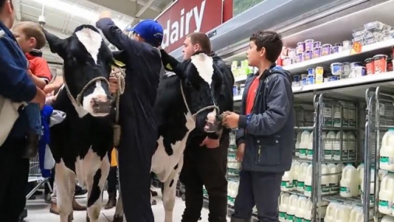 Me lopë në supermarket, për të kundërshtuar çmimin e qumështit (Video)