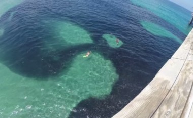 Menduan se ishte naftë, por kur u afruan gjetën diçka tjetër (Video)