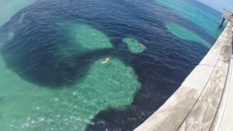 Menduan se ishte naftë, por kur u afruan gjetën diçka tjetër (Video)