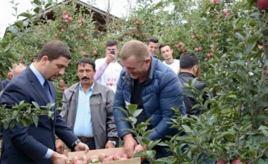 Bujqësia, sektori që mund të përfitojë më se shumti nga MSA-ja