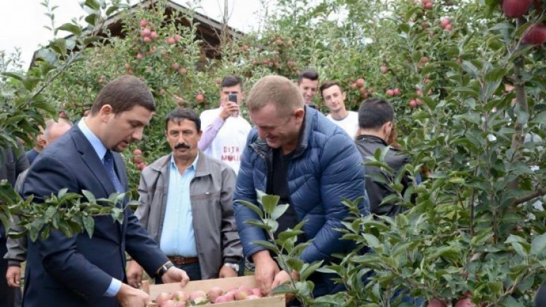 Bujqësia, sektori që mund të përfitojë më se shumti nga MSA-ja