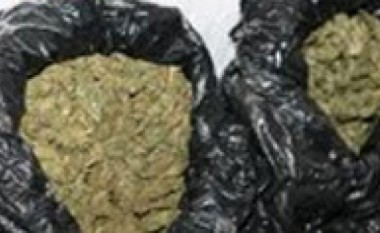 Veles, konfiskohen 130 rrënjë kanabis dhe 2.5 kilogram mariuhanë