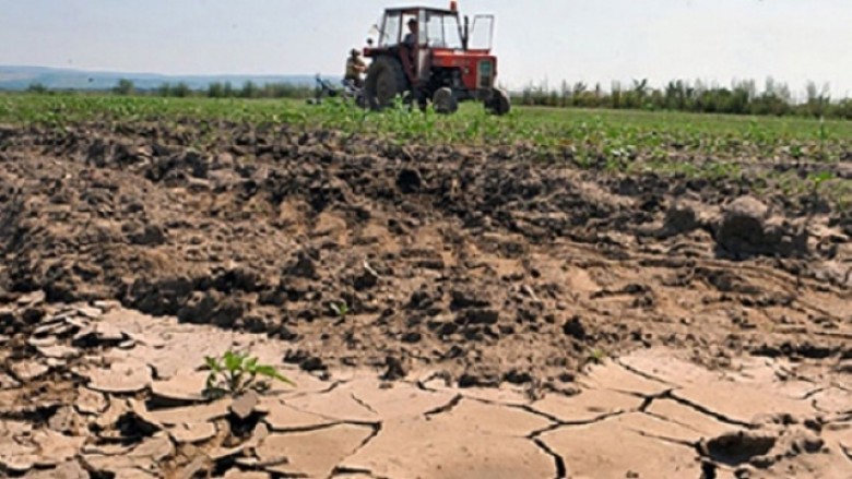 Sindikata e pavarur e bujqve në Maqedoni: Shteti të mos i ndërpresë marrëveshjet për qira të tokave