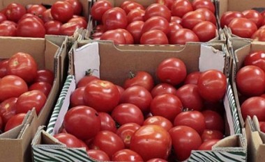 Maqedonia në vendin e 27-të në botë për eksportin e domateve