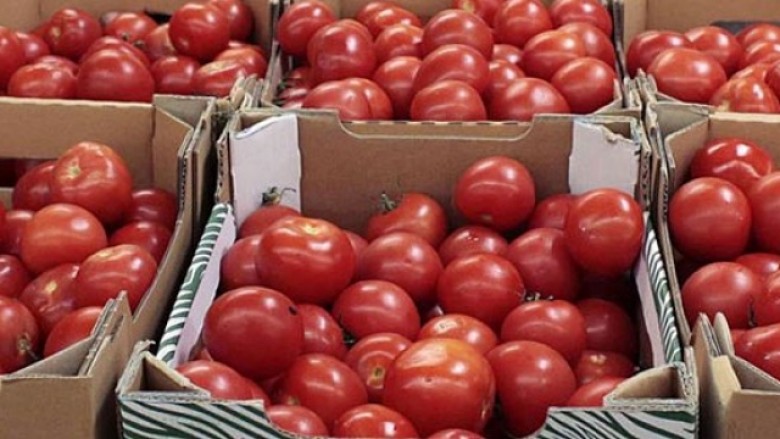 Bie çmimi i domateve në Maqedoni