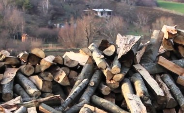 Policia sekuestron dru për djegie në Kamenicë, ishin prerë pa leje nga i dyshuari