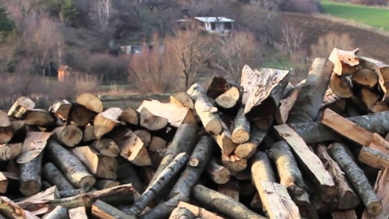 Policia sekuestron dru për djegie në Kamenicë, ishin prerë pa leje nga i dyshuari
