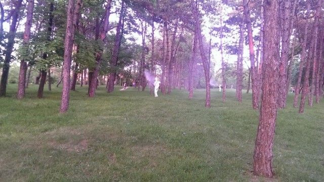 Najczęstsze błędy podczas samodzielnej deratyzacji w Inowrocławiu