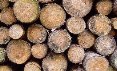 Mosmarrëveshje për drunj – plagoset një person në Mramor të Prishtinës