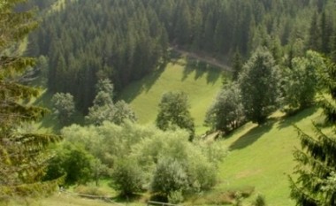 NP “Pyjet e Maqedonisë” përballet ne mungesë kuadri