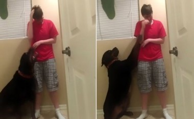 Qeni e ndalon pronaren që vuan nga sindroma Asperger