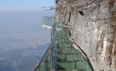 Reagimi i burrit që ka frikë nga lartësia (Video)