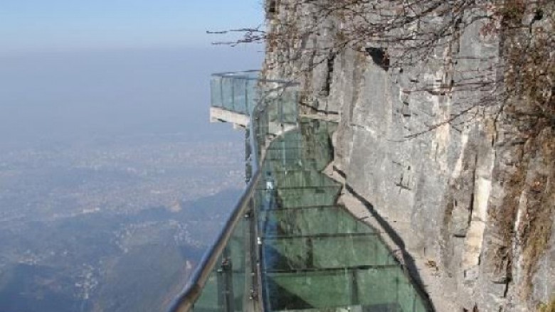 Reagimi i burrit që ka frikë nga lartësia (Video)