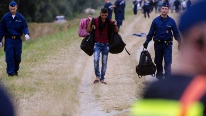 Rekord refugjatësh në Evropë