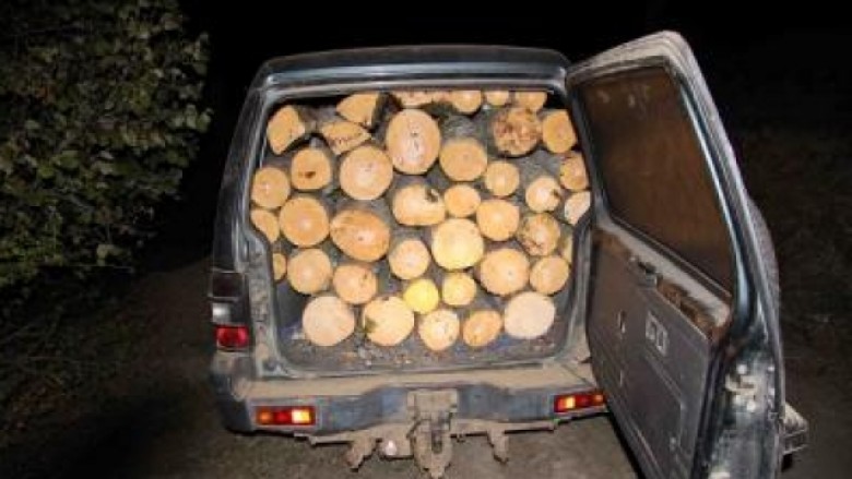 Arrestohen disa persona nga Tetova dhe Gostivari për transport ilegal të druve për ngrohje
