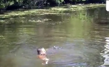 Shikojeni njeriun që hidhet në lumin me krokodilë (Video)