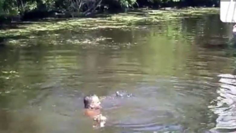 Shikojeni njeriun që hidhet në lumin me krokodilë (Video)