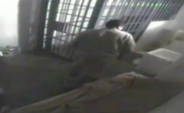 Shikoni momentin e arratisjes nga burgu të lordit meksikan të drogës (Video)