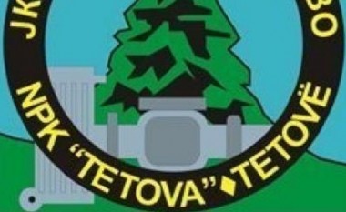 NPK Tetovë para zgjedhjeve ka punësuar 70 persona