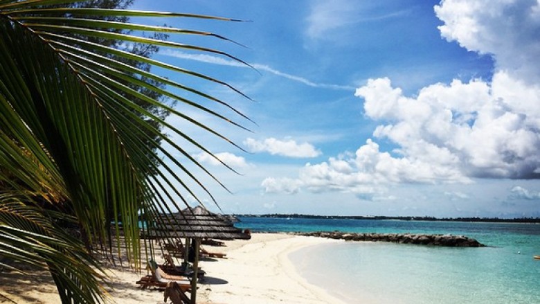 Edhe Tuna edhe Cozman në Bahamas (Foto)