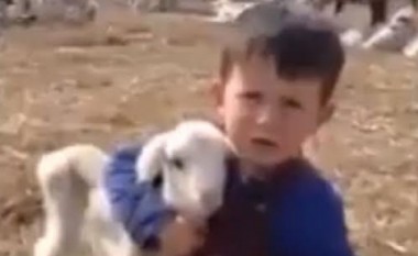 Vjershën “Qengji vogël”, Bleoni e reciton në mënyrë të veçantë (Video)