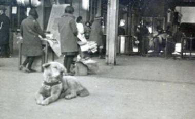 Zbulohet fotoja e Hachiko, qenit që përloti botën (Foto)