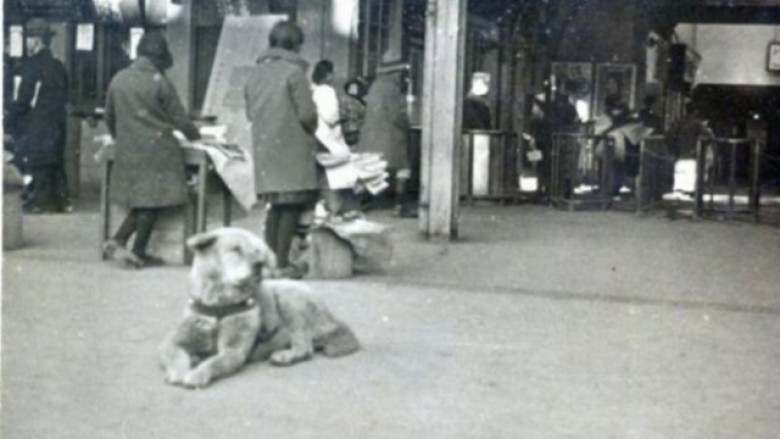 Zbulohet fotoja e Hachiko, qenit që përloti botën (Foto)