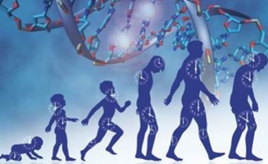 Zbulohet ora biologjike në ADN