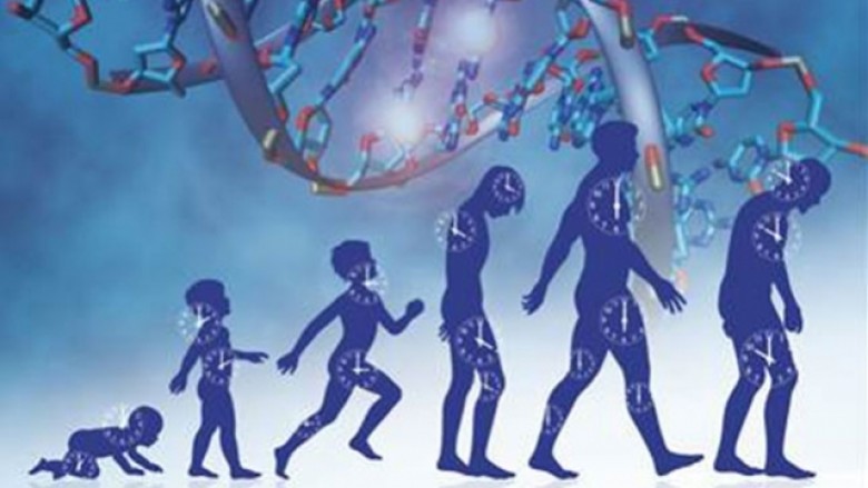 Zbulohet ora biologjike në ADN