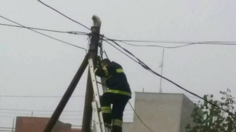 Zjarrfikësit e kryeqytetit shpëtojnë macen që ishte ngjitur në shtyllën elektrike (Foto)