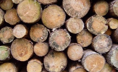 Industria e drurit në Maqedoni shënon rritje