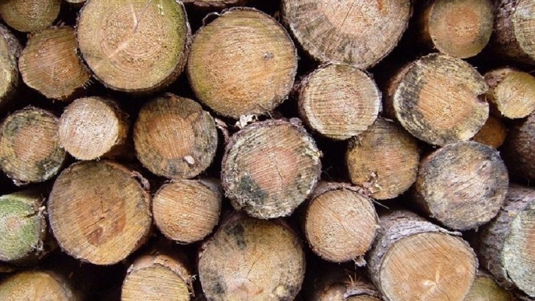 Industria e drurit në Maqedoni shënon rritje