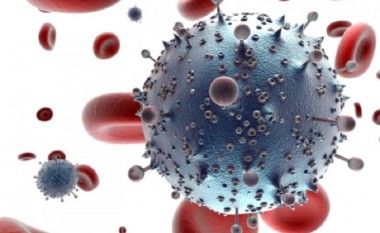 ​Shkencëtarët për herë të parë shërojnë minjtë e prekur me HIV