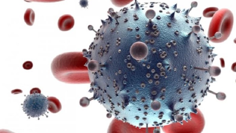 ​Shkencëtarët për herë të parë shërojnë minjtë e prekur me HIV