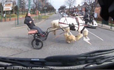 “Problem trafiku që i përket vitit 1880”: Kali për pak sa nuk shkakton aksident të rënd! (Video)