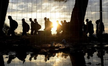 Shumë refugjatë duan të kthehen në Turqi, shkaku i kushteve të vështira në Idomeni