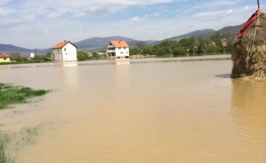 Nga vërshimet, shumë fshatra mbesin pa ujë të pijshëm (Video)