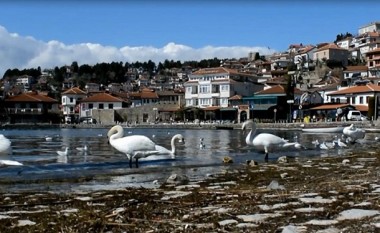 Fushatë për ruajtjen e rajonit të Ohrit