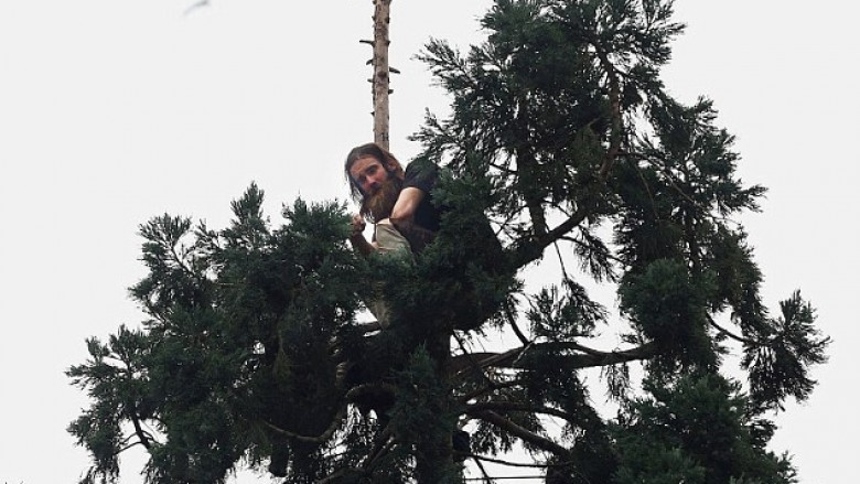 Hyn në ditën e dytë burri që është ngjitur në pemën 25 metra të lartë (Foto/Video)