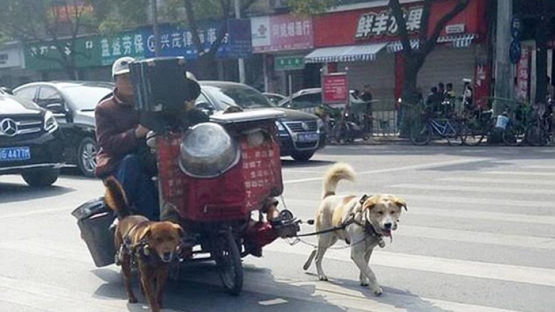 Këta pensionistë kanë zbuluar metodë interesante të transportit (Foto)