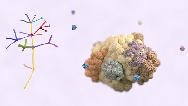 Phospho_Biomedical__CRUK_v2