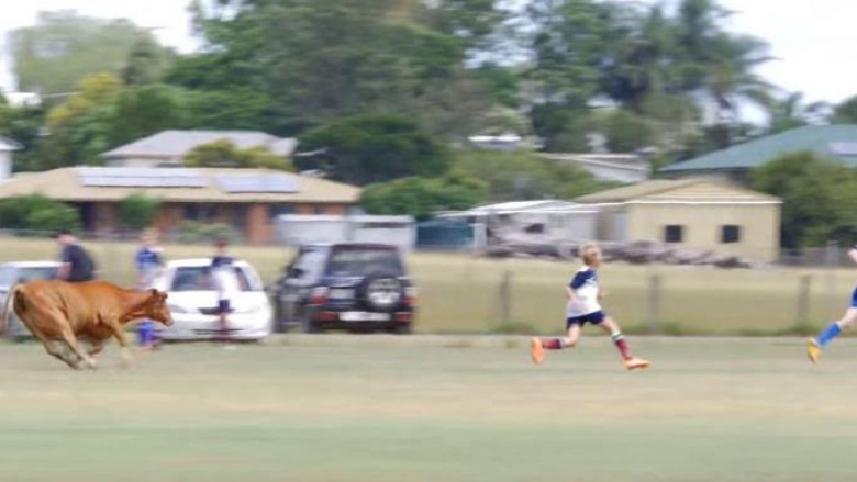 Demi futet në fushën e futbollit, sulmon fëmijët (Video)